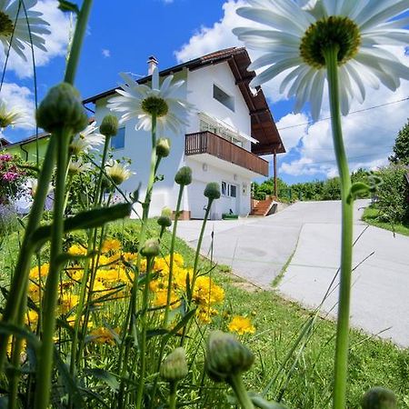 Apartment Bastaja Slunj Esterno foto